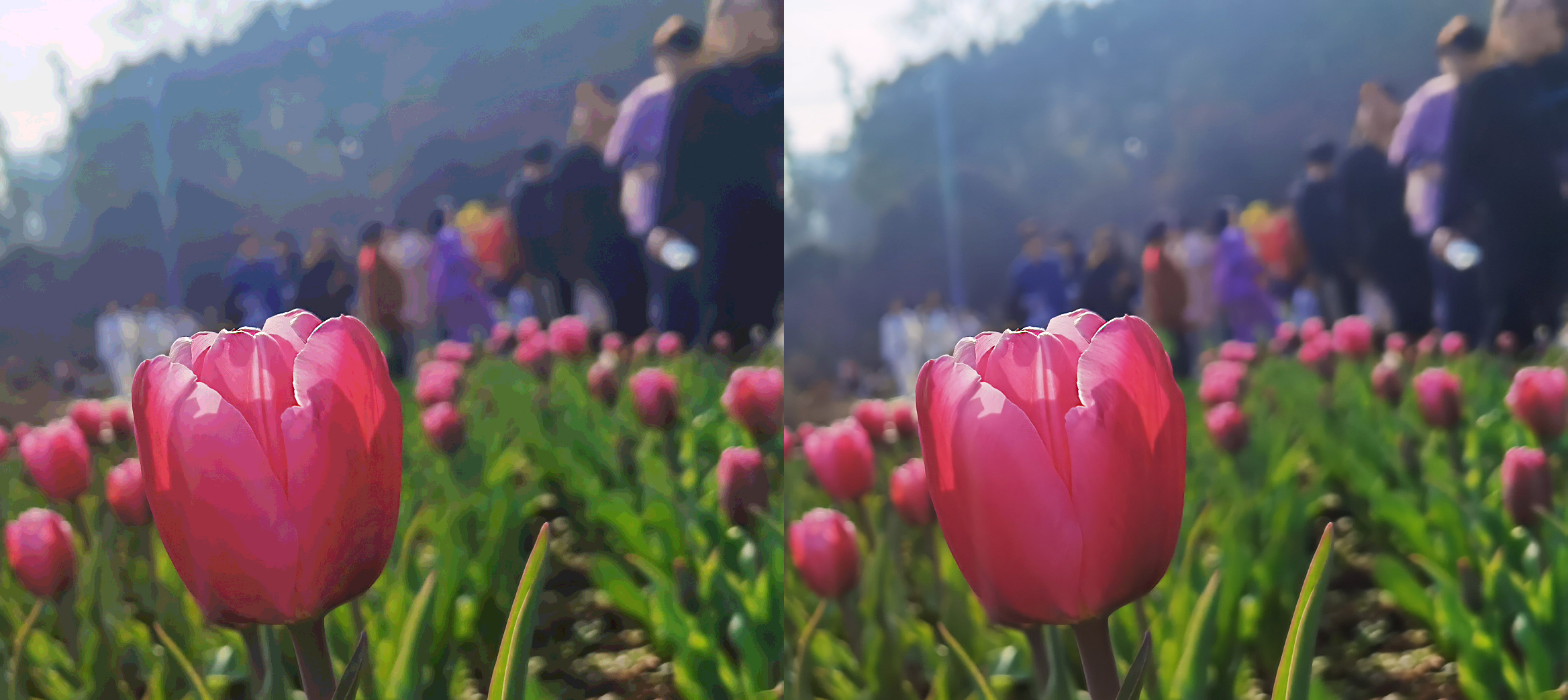 4 位（左）和 8 位（右）色彩的照片